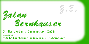 zalan bernhauser business card